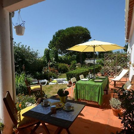 Happy Cat House - Holiday Rental São Martinho do Porto Exteriör bild