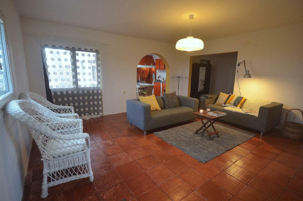 Happy Cat House - Holiday Rental São Martinho do Porto Exteriör bild