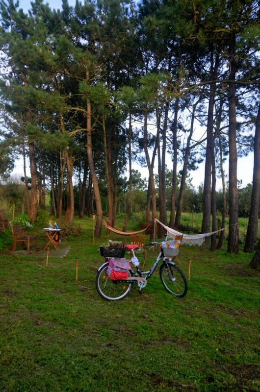 Happy Cat House - Holiday Rental São Martinho do Porto Exteriör bild