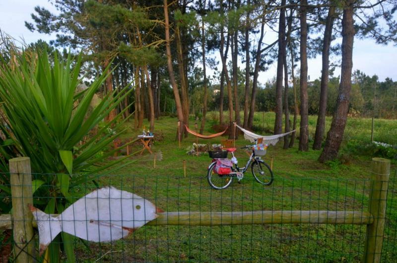 Happy Cat House - Holiday Rental São Martinho do Porto Exteriör bild