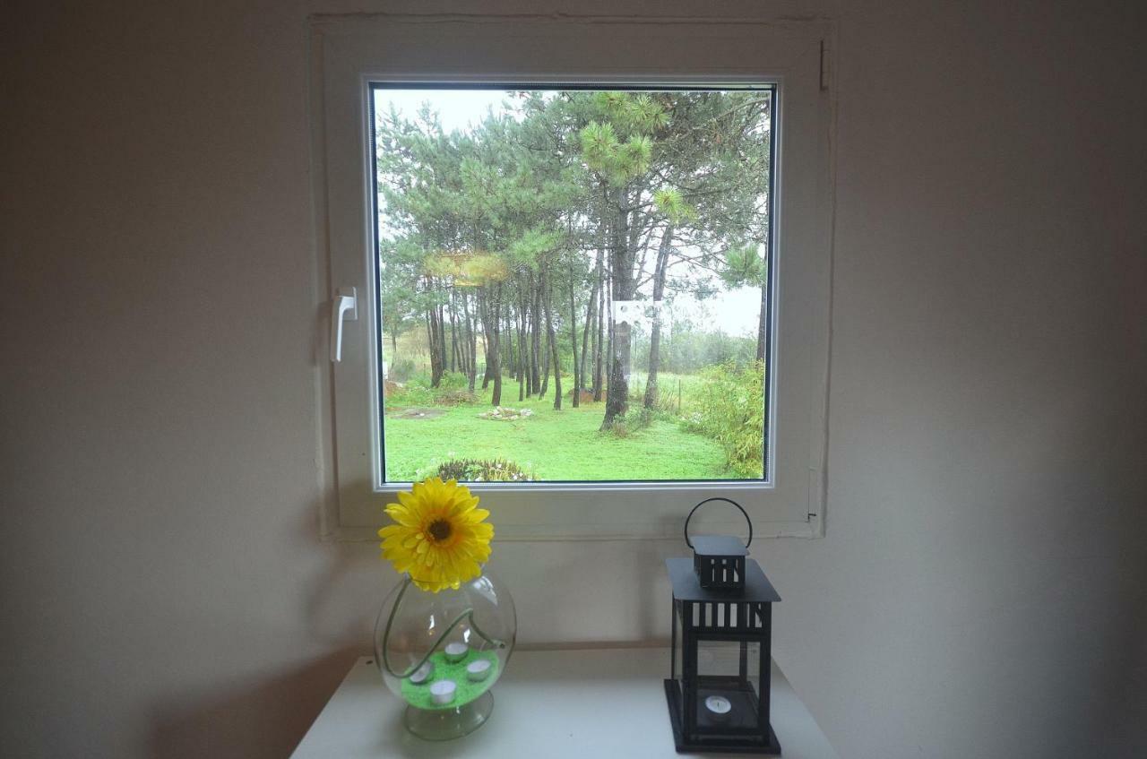Happy Cat House - Holiday Rental São Martinho do Porto Exteriör bild